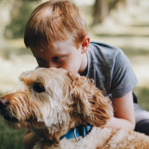a child and a dog